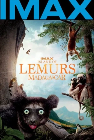 Madagascar, l'île des Lémuriens